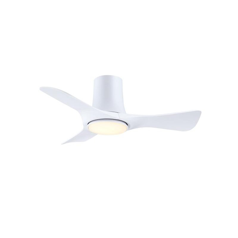 FPD6638MW