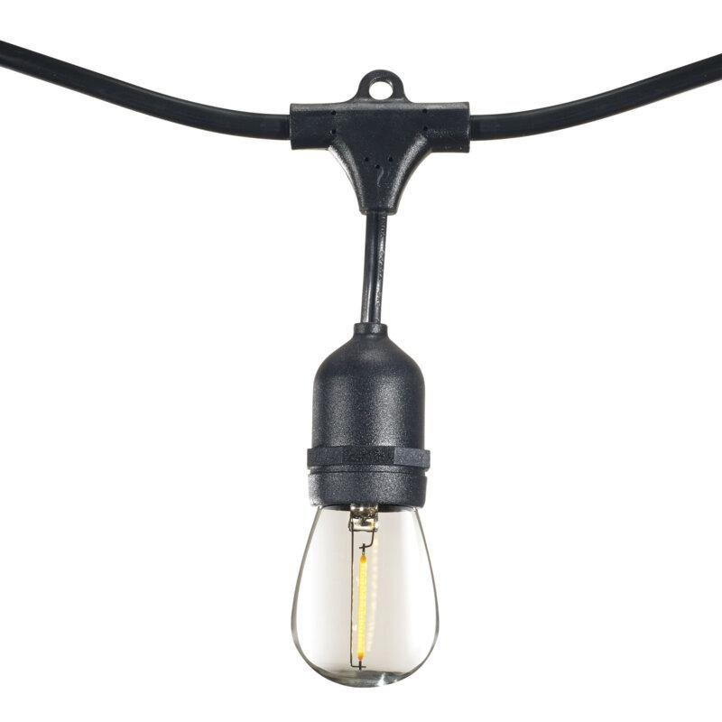 light-862819